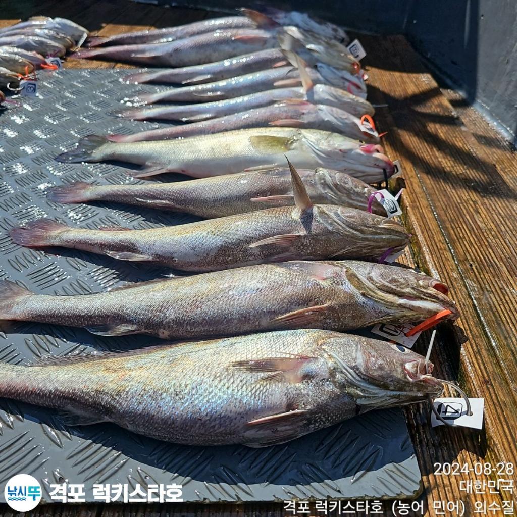 F2485319GH.jpg