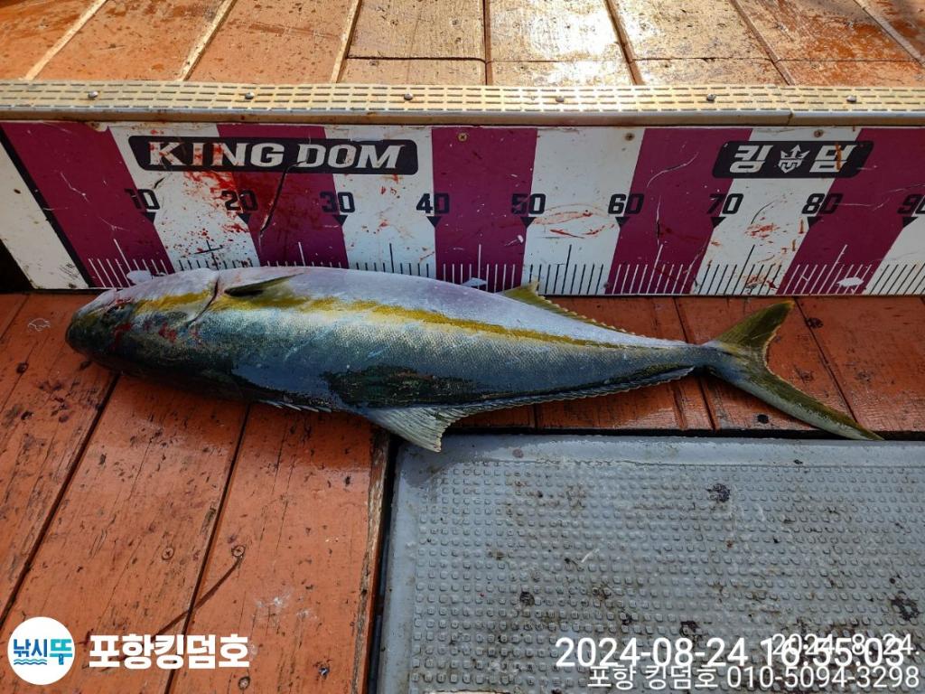 F2485390GC.jpg