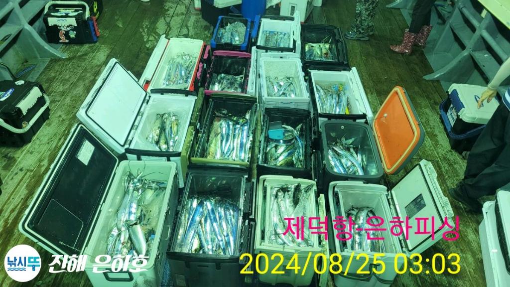 낚시뚜,,진해 괴정방파제,진해은하피싱,낚시뚜24