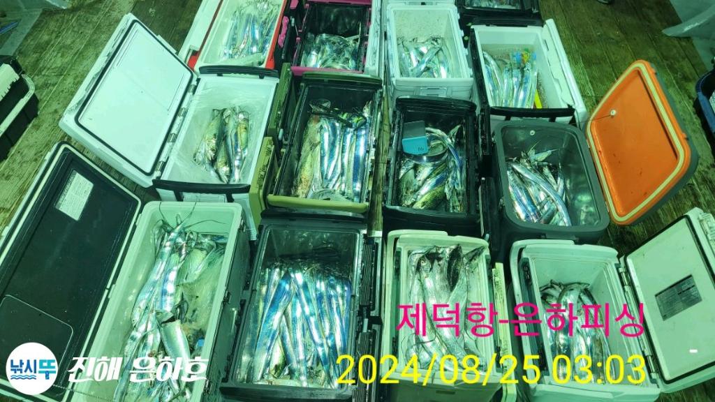 낚시뚜,,진해 괴정방파제,진해은하피싱,낚시뚜23