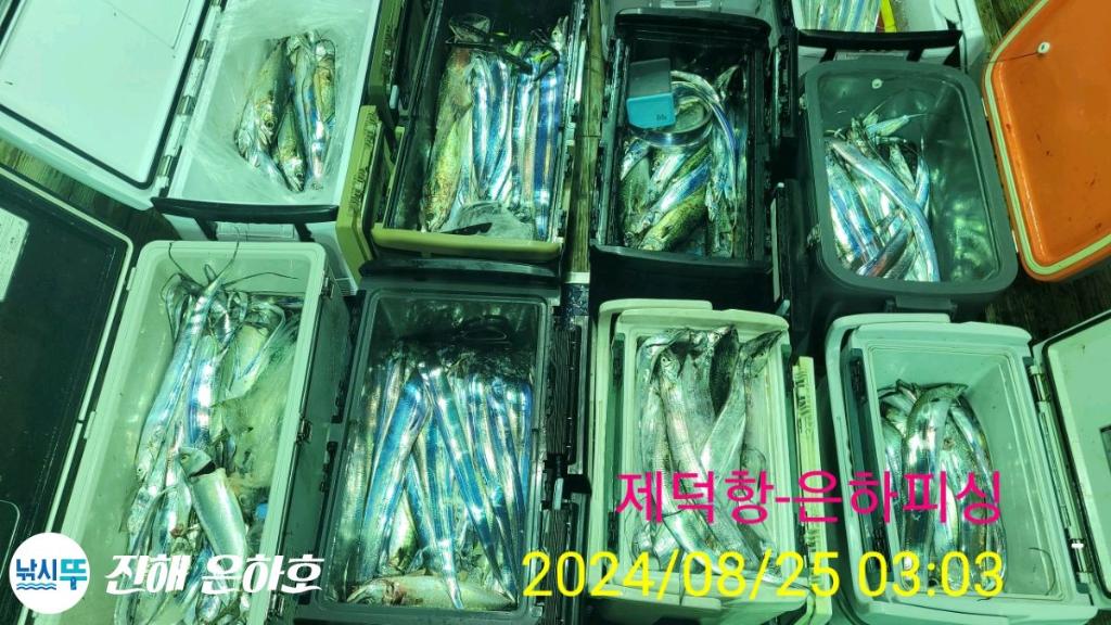 낚시뚜,,진해 괴정방파제,진해은하피싱,낚시뚜22