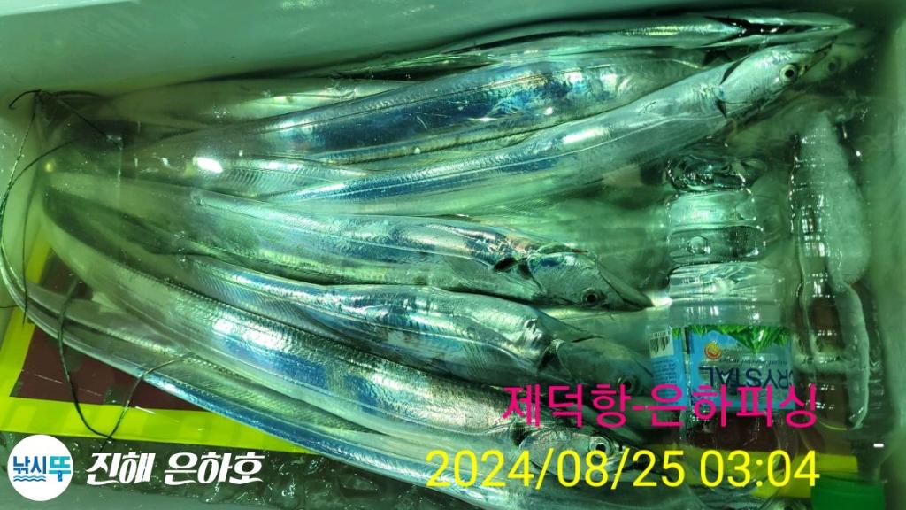 낚시뚜,,진해 괴정방파제,진해은하피싱,낚시뚜14