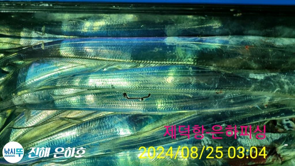낚시뚜,,진해 괴정방파제,진해은하피싱,낚시뚜13