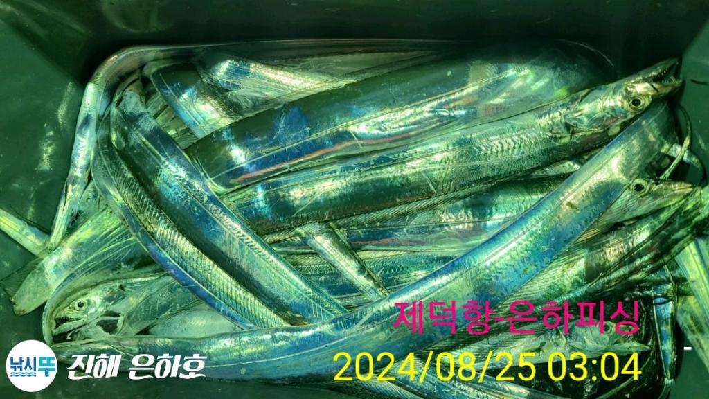 낚시뚜,,진해 괴정방파제,진해은하피싱,낚시뚜12