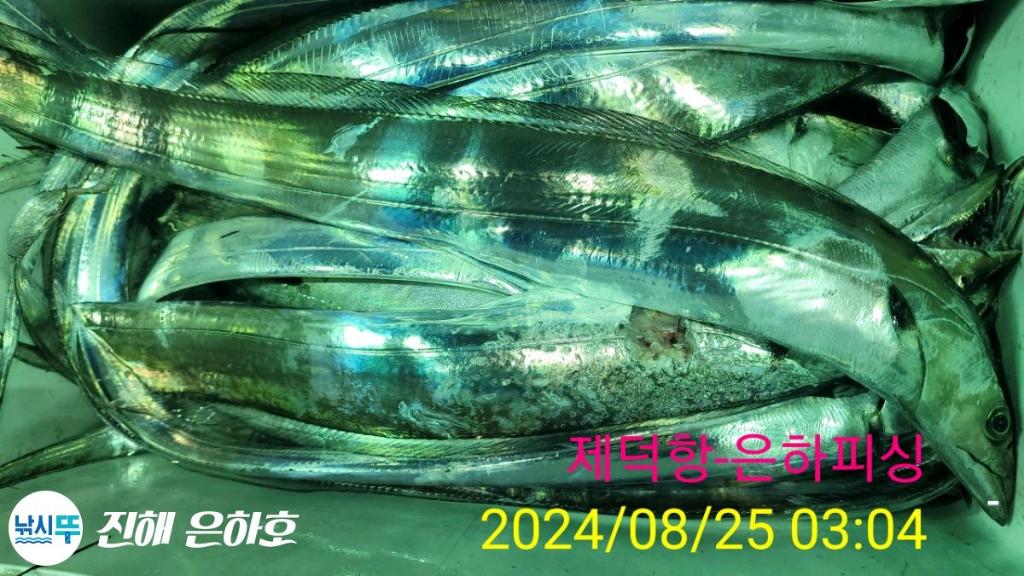 낚시뚜,,진해 괴정방파제,진해은하피싱,낚시뚜11