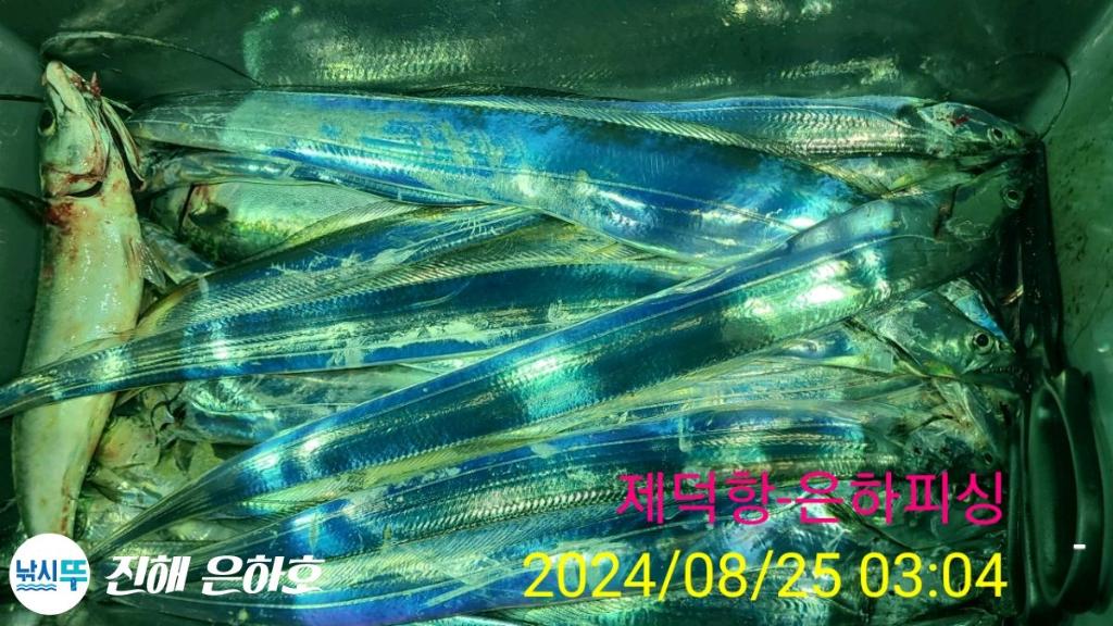 낚시뚜,,진해 괴정방파제,진해은하피싱,낚시뚜10