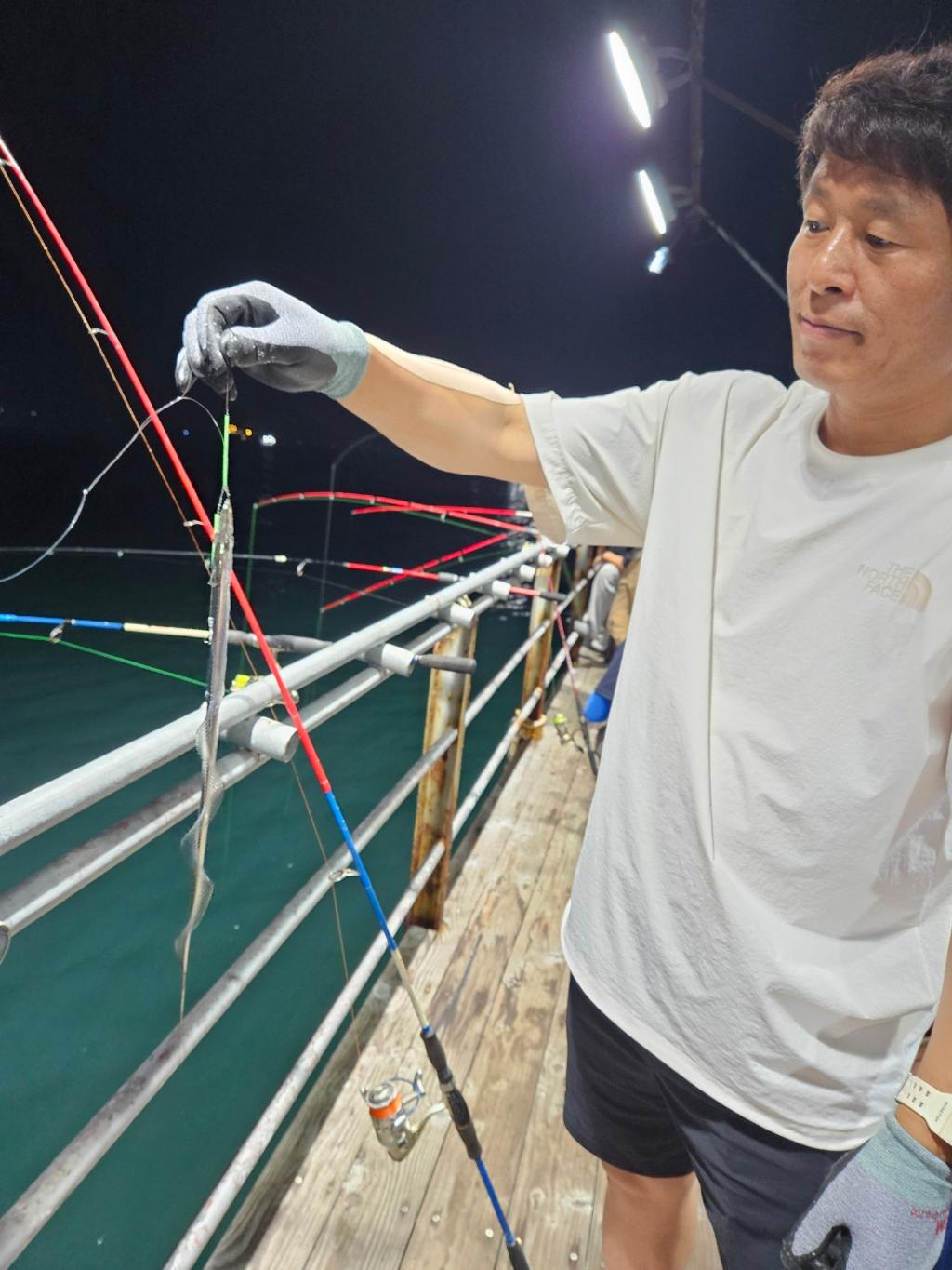 F2487056JR.jpg