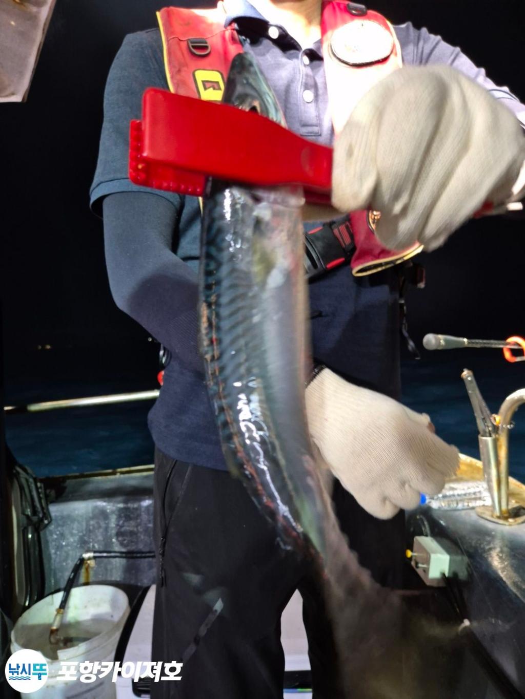 F2487933R9.jpg