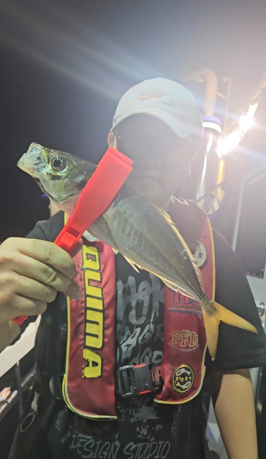 F248843160.jpg