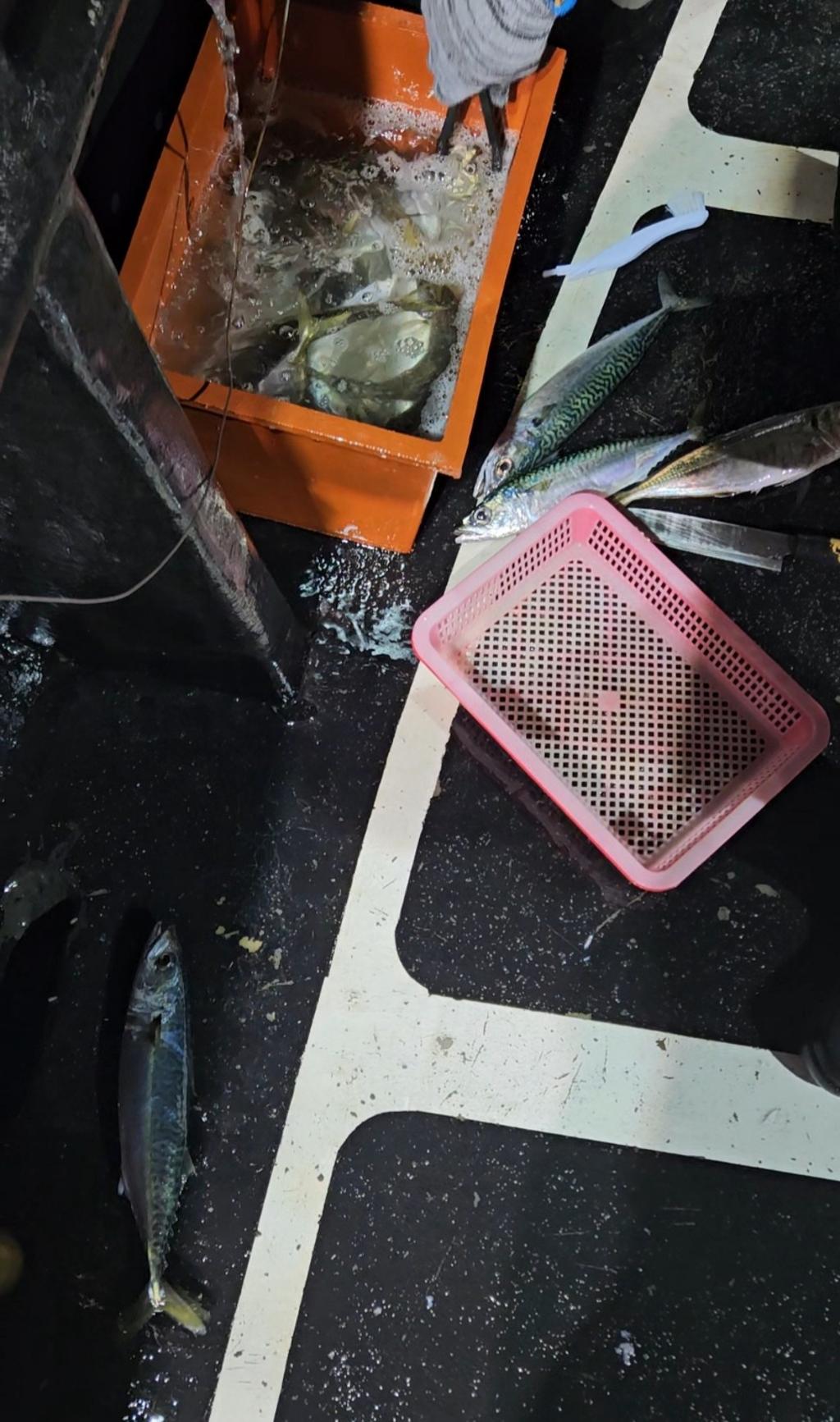 F2488438LQ.jpg
