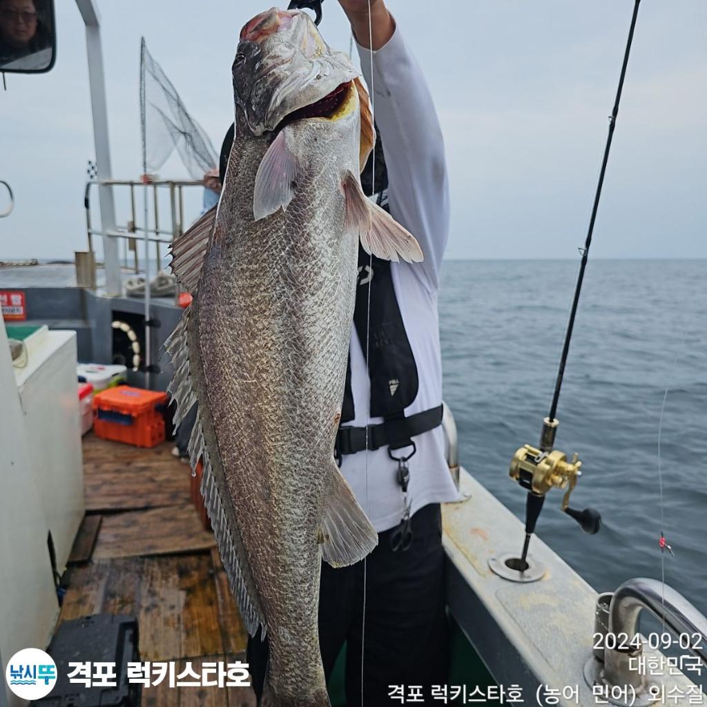 F2488763JP.jpg