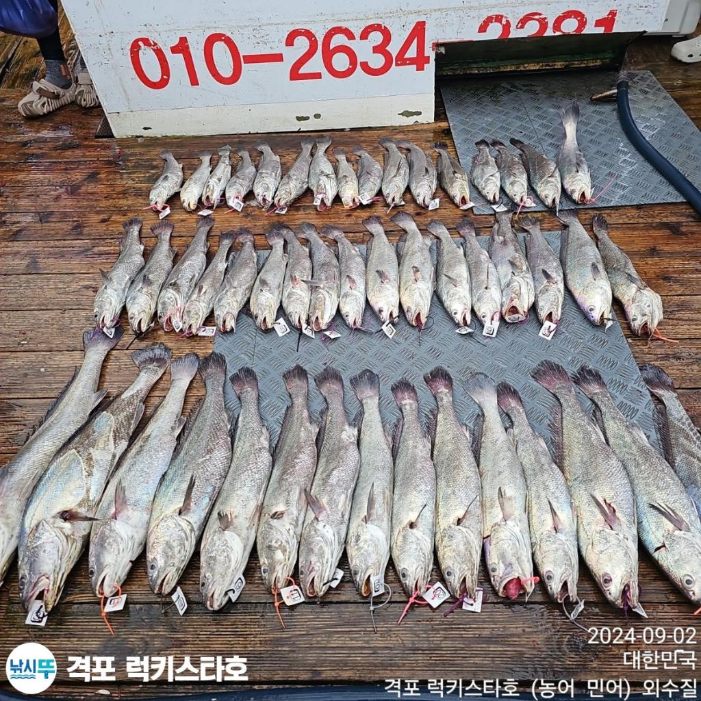 F2488771YQ.jpg
