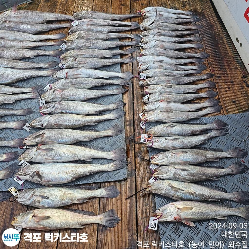 F2489511L1.jpg