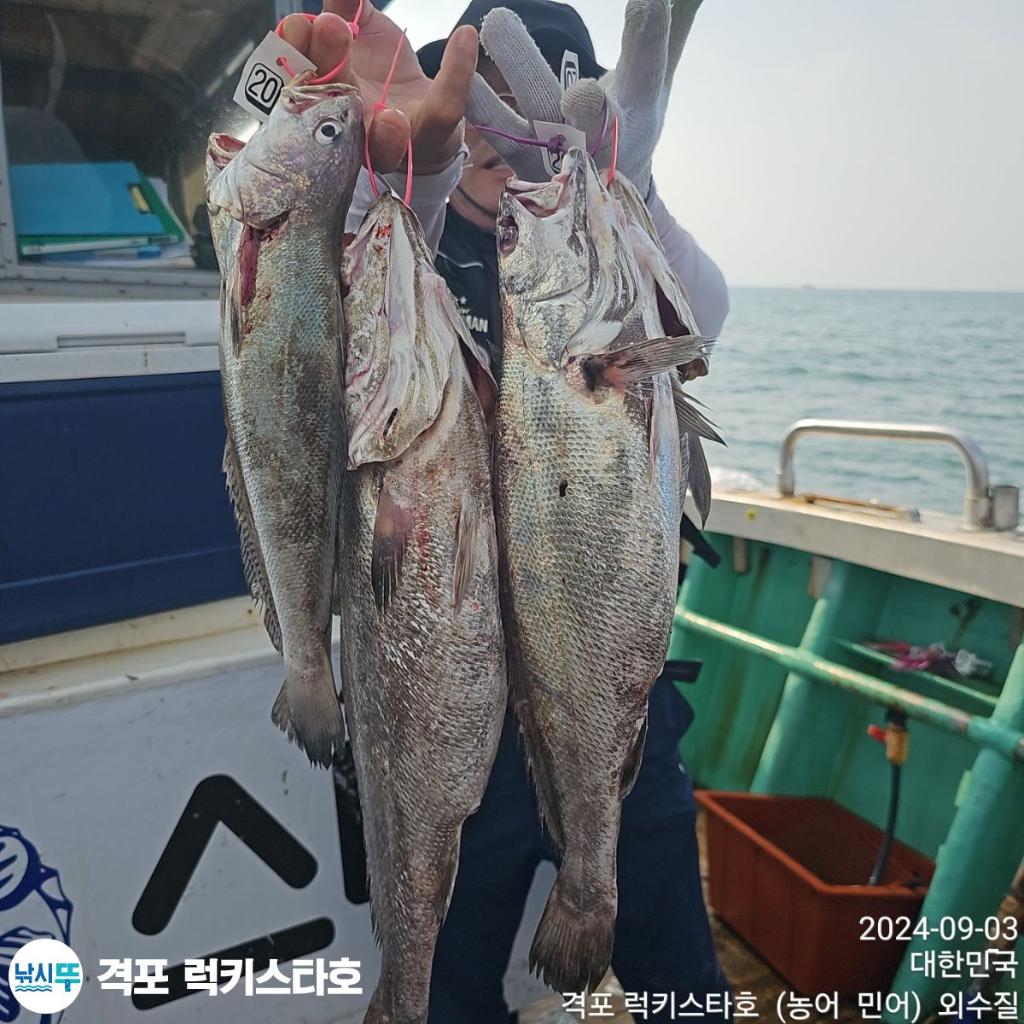 F2489515AP.jpg