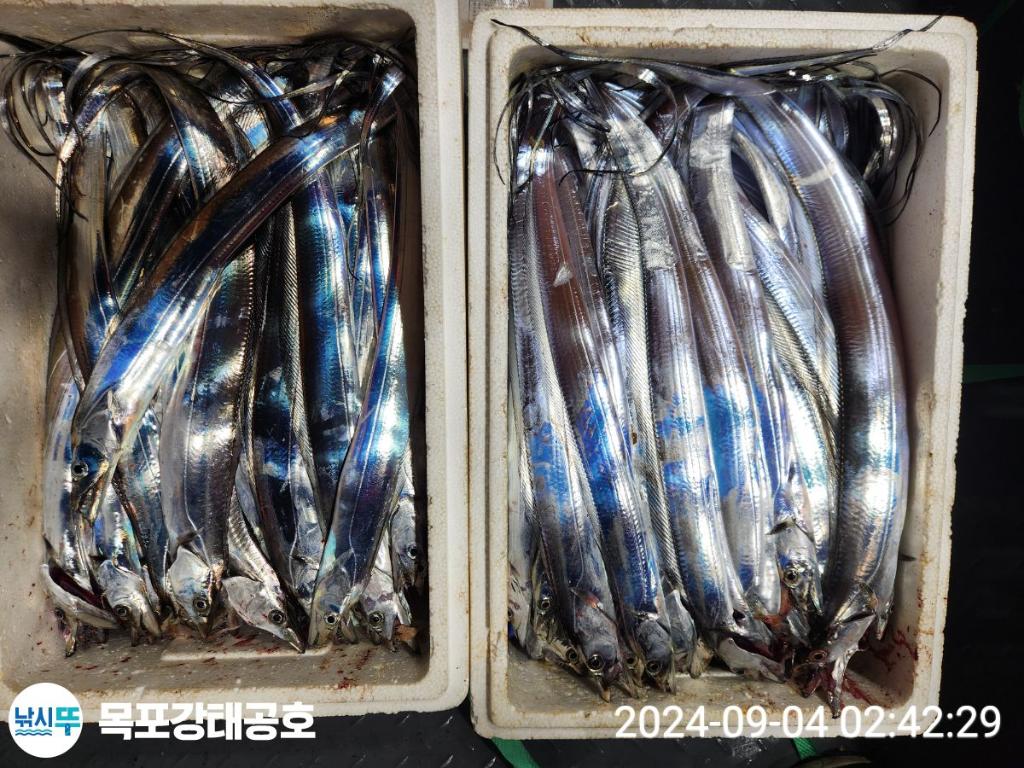 F2489860MA.jpg