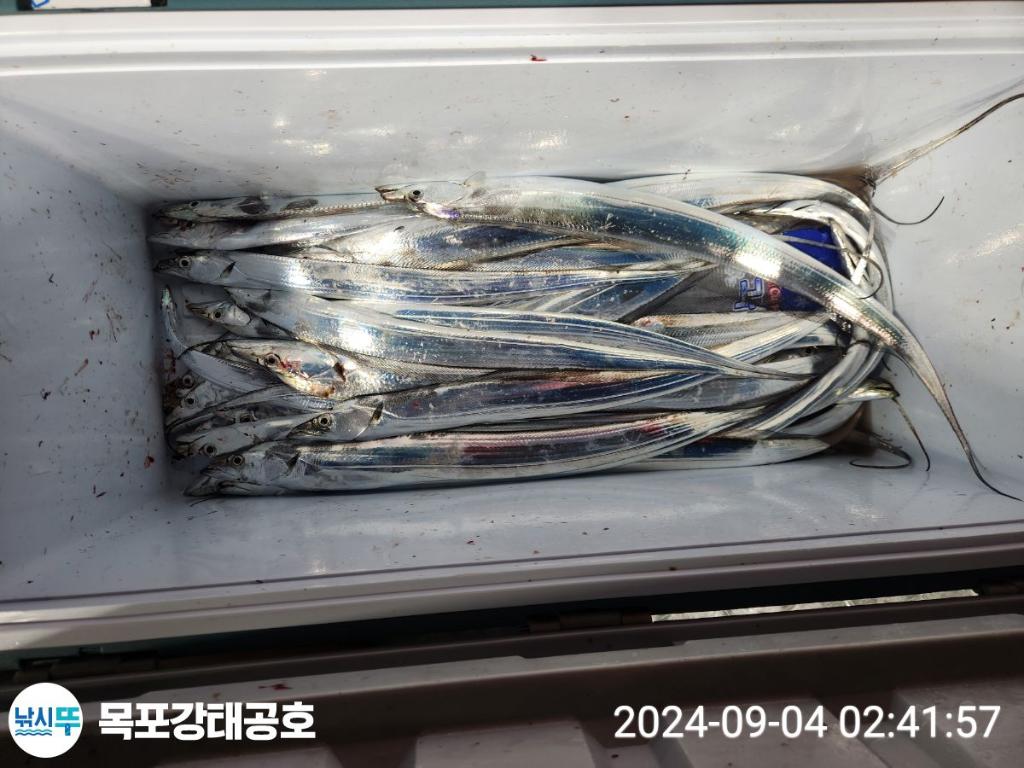 F2489861G9.jpg