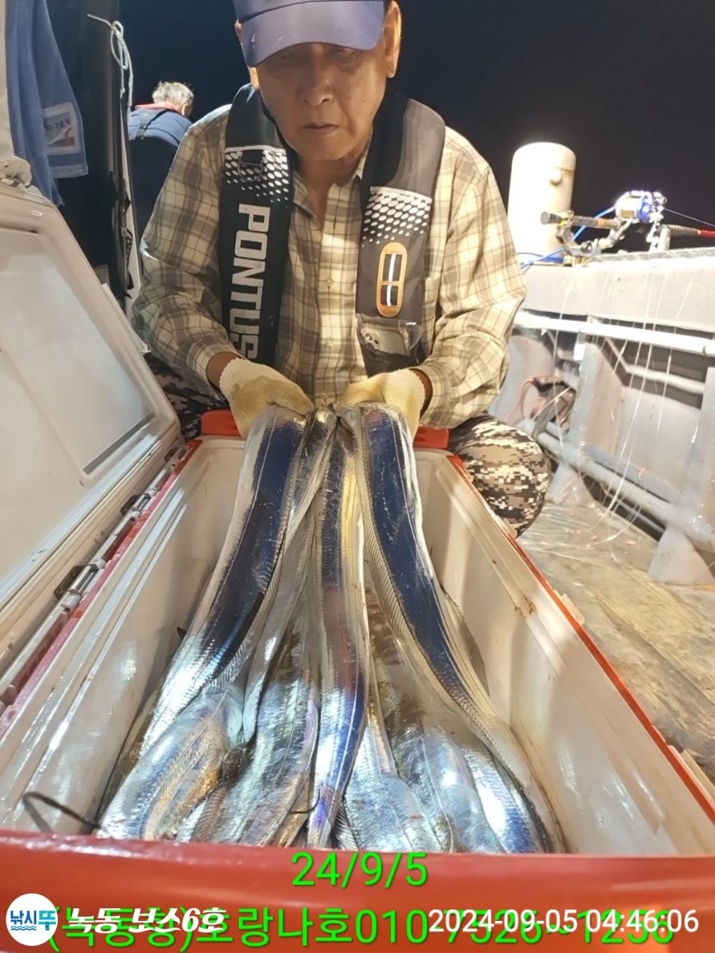 낚시뚜,갈치,녹동항,호랑나비호,낚시뚜2