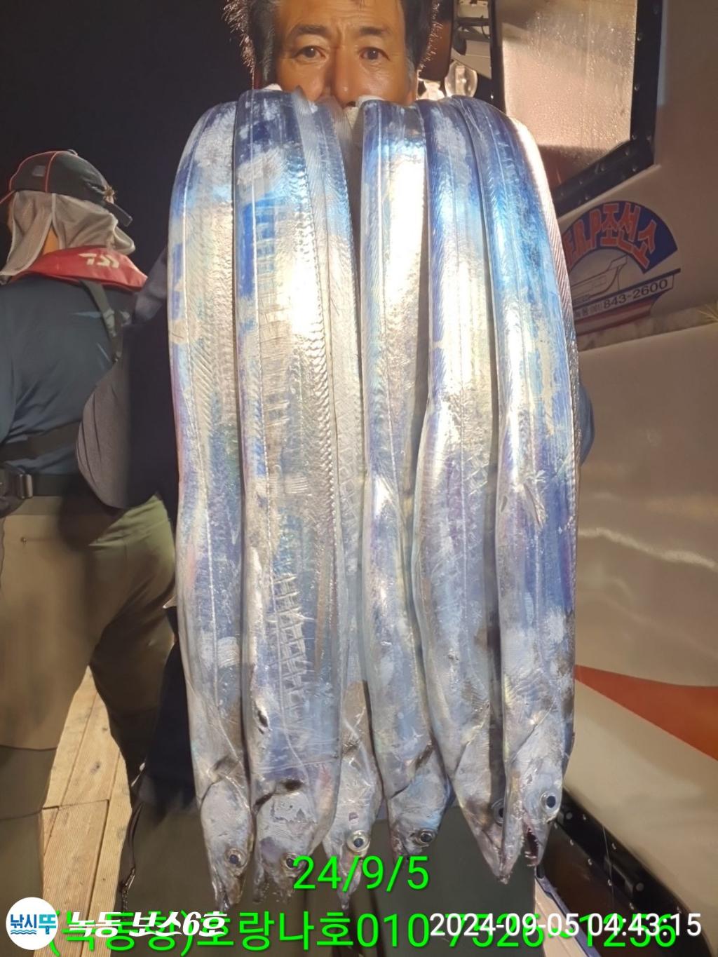 낚시뚜,갈치,녹동항,호랑나비호,낚시뚜5