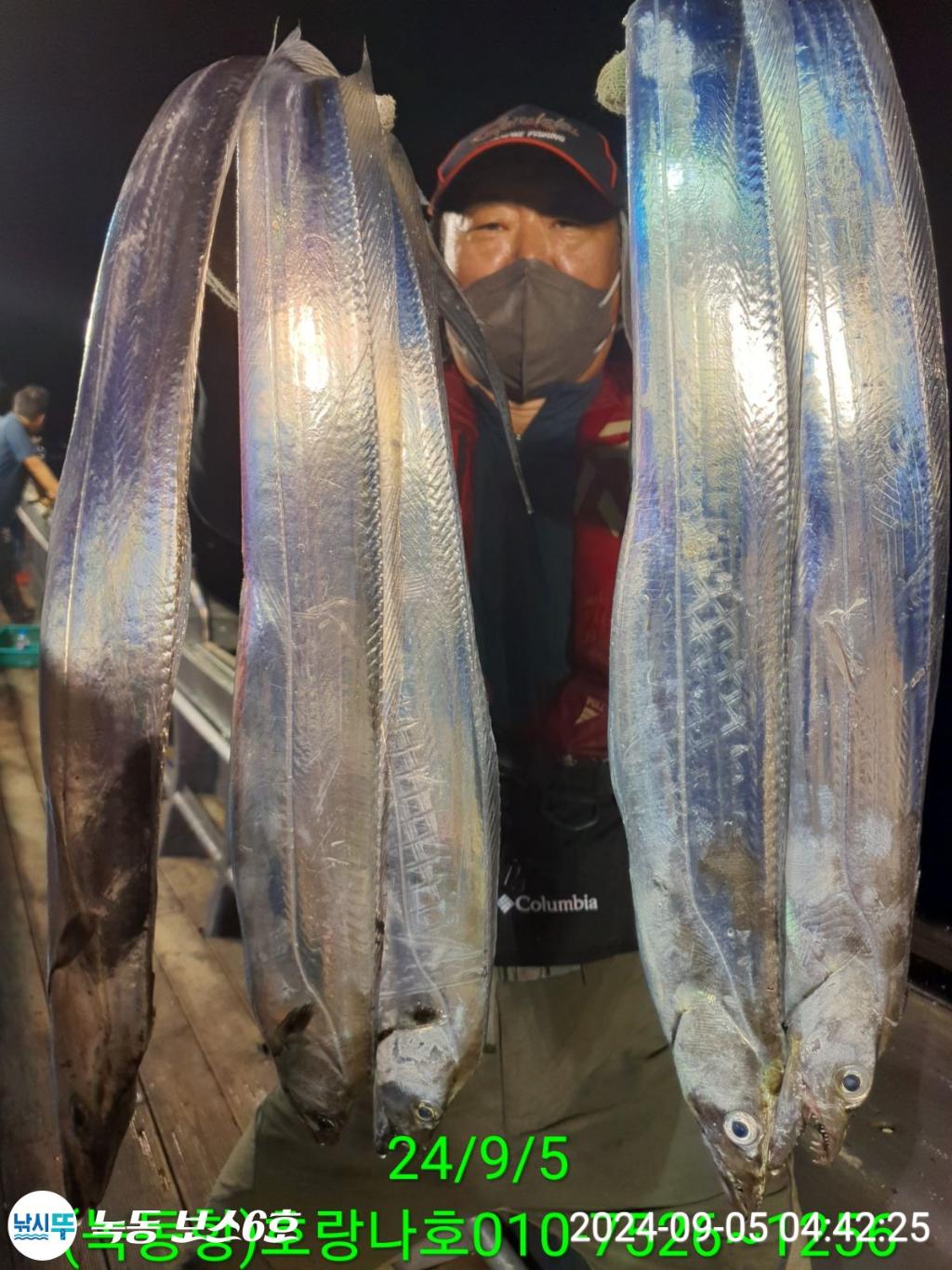 낚시뚜,갈치,녹동항,호랑나비호,낚시뚜1