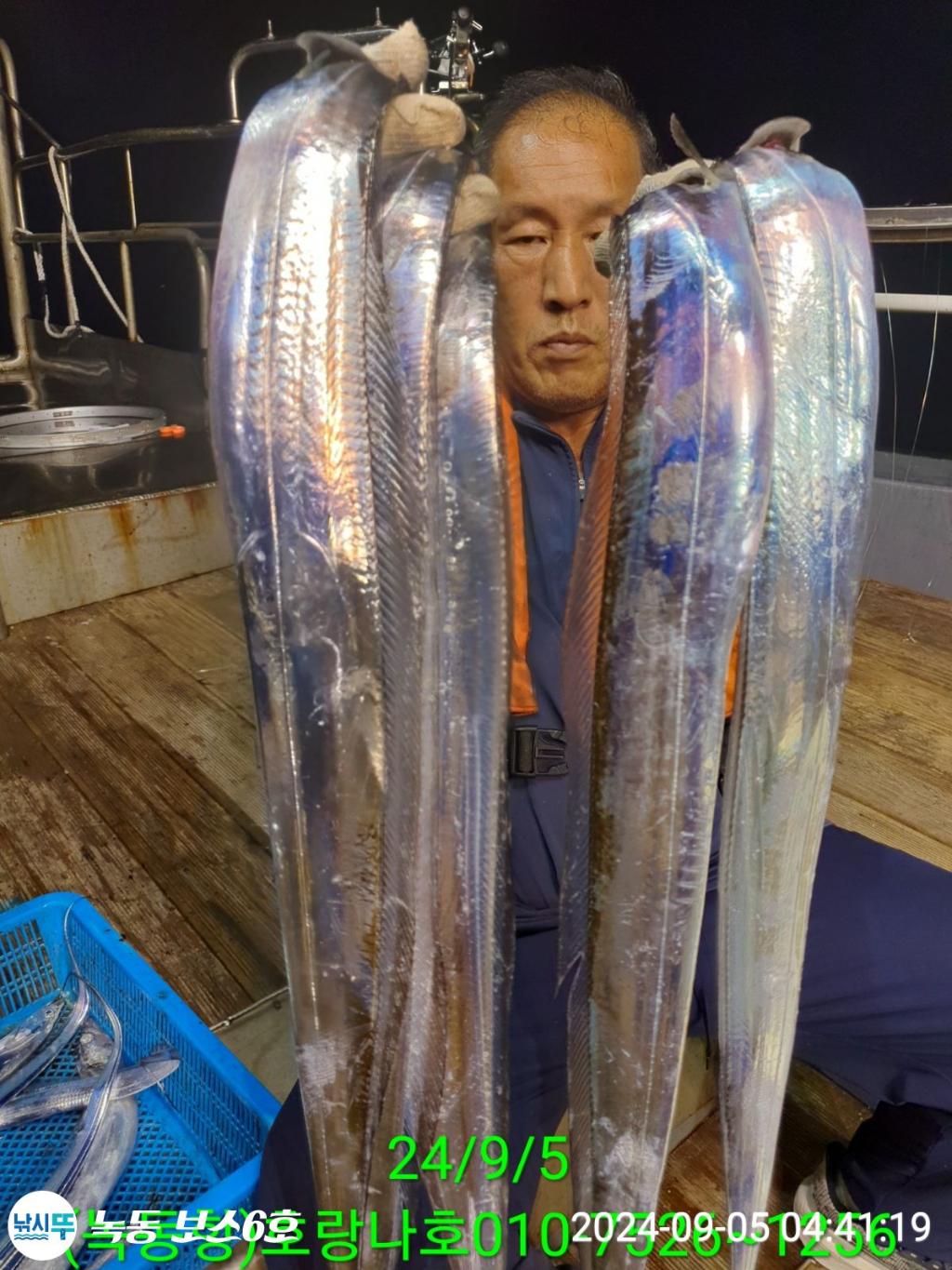 낚시뚜,갈치,녹동항,호랑나비호,낚시뚜4