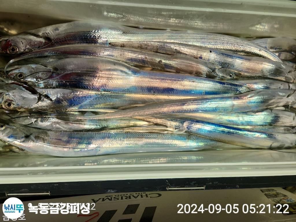 F2491151LW.jpg