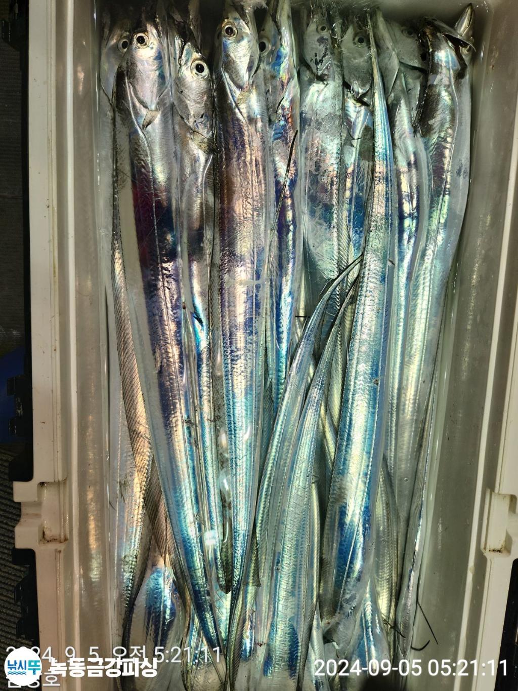 F2491152QE.jpg