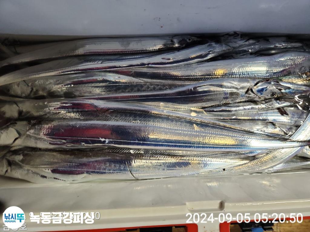 F2491153GD.jpg