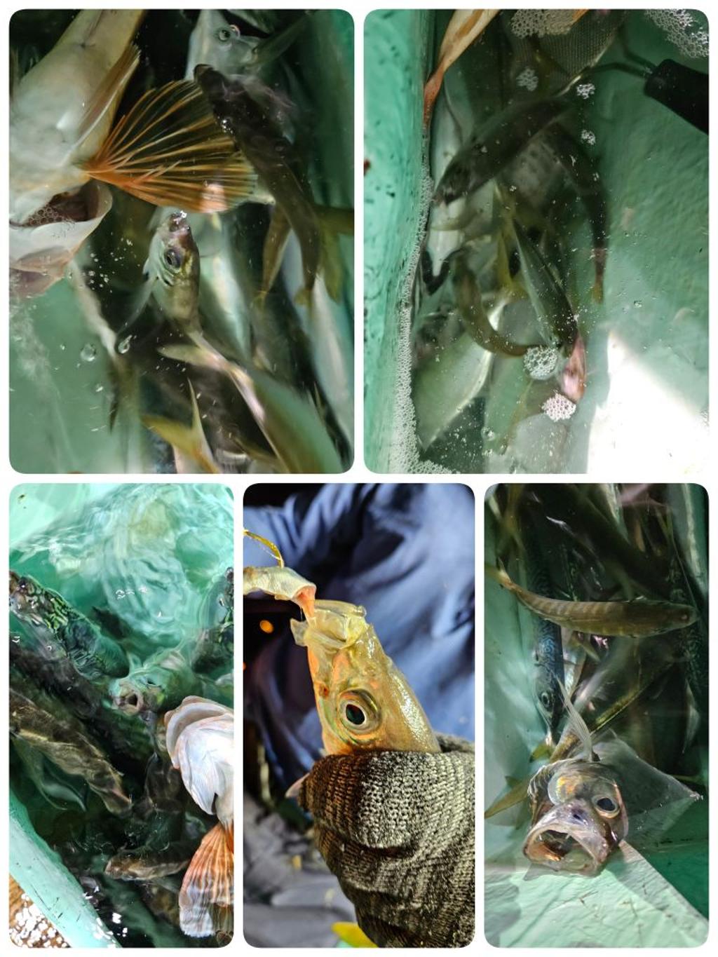 F2492176IG.jpg