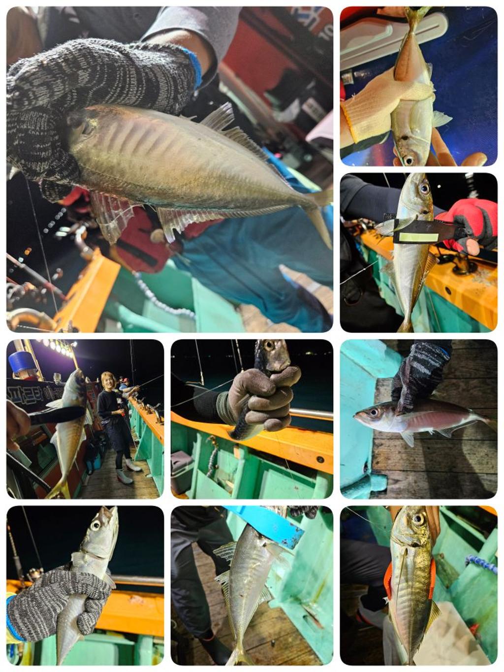 F2493800UF.jpg