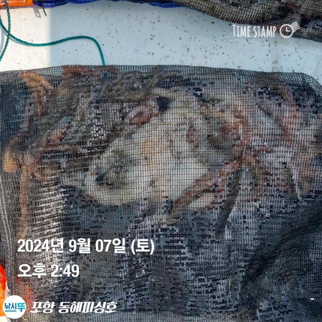 F249384250.jpg