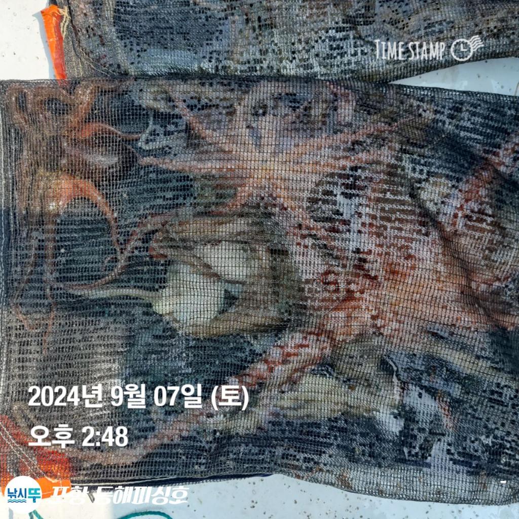 F2493843SK.jpg