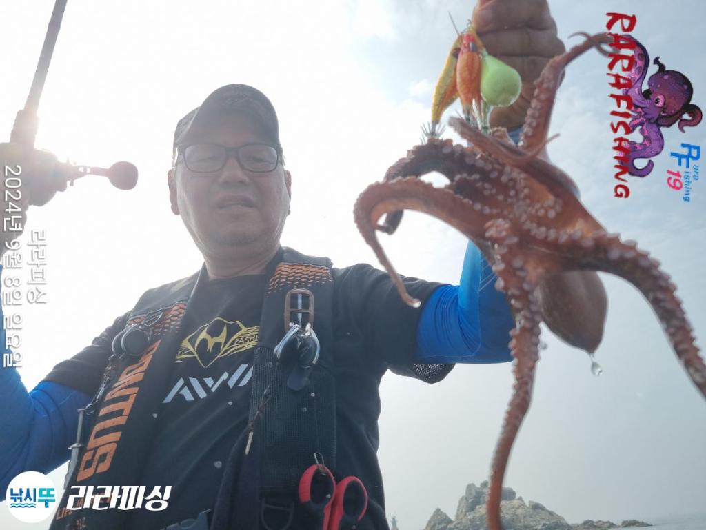 낚시뚜,돌문어,속천항(진해),라라피싱,낚시뚜2