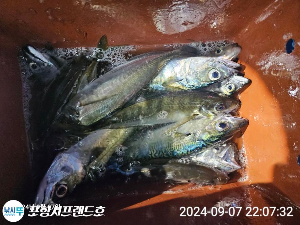 F24953358H.jpg