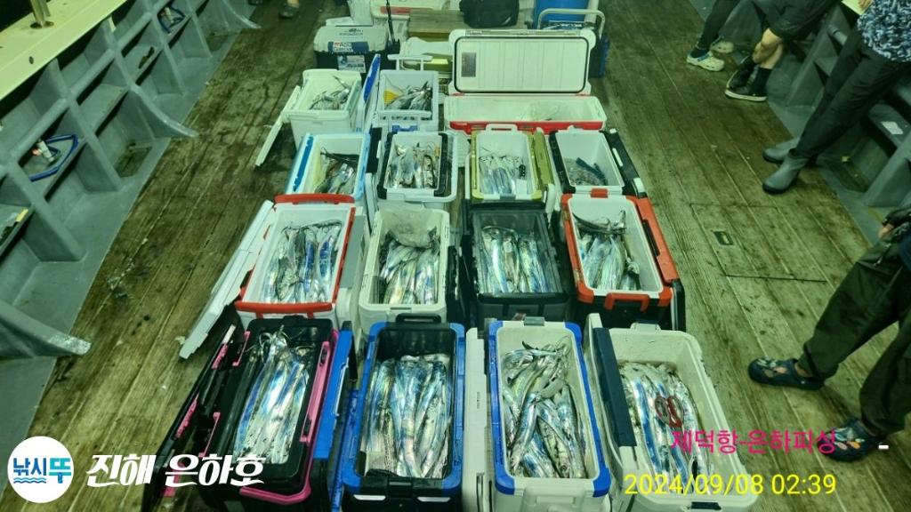 낚시뚜,갈치,진해 괴정방파제,진해은하피싱,낚시뚜24