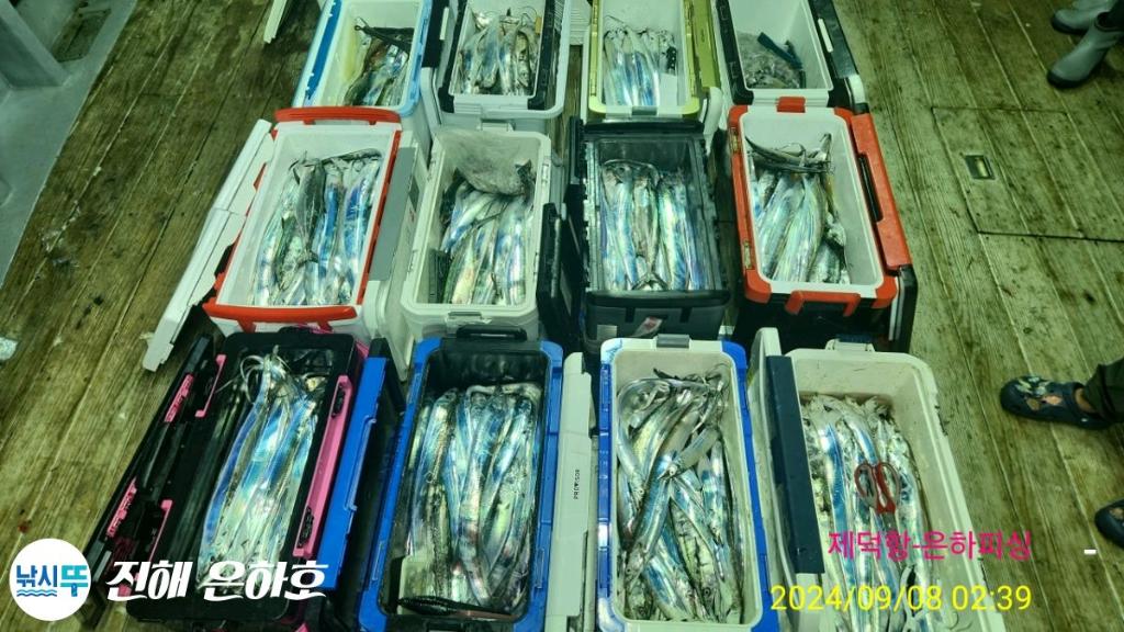 낚시뚜,갈치,진해 괴정방파제,진해은하피싱,낚시뚜22