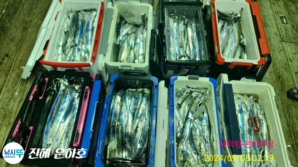 낚시뚜,갈치,진해 괴정방파제,진해은하피싱,낚시뚜20