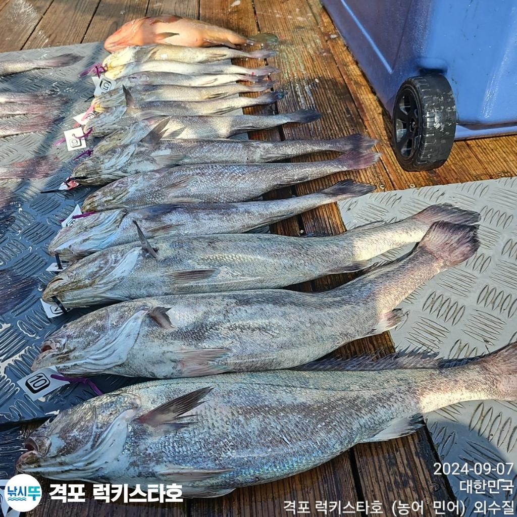F2495529OD.jpg