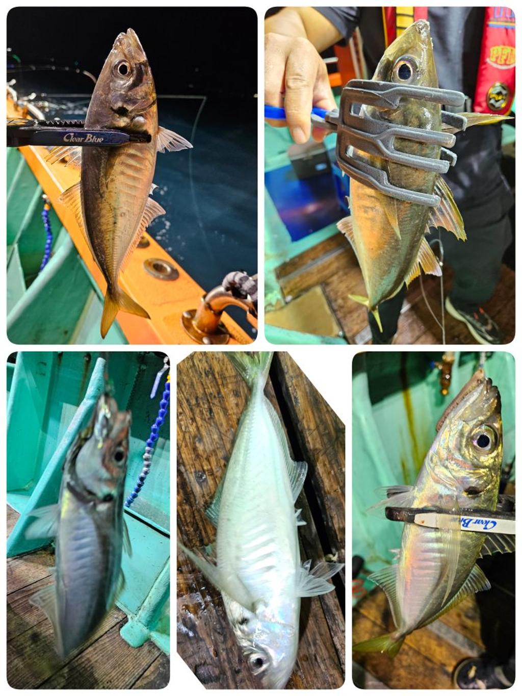 F2495940UF.jpg