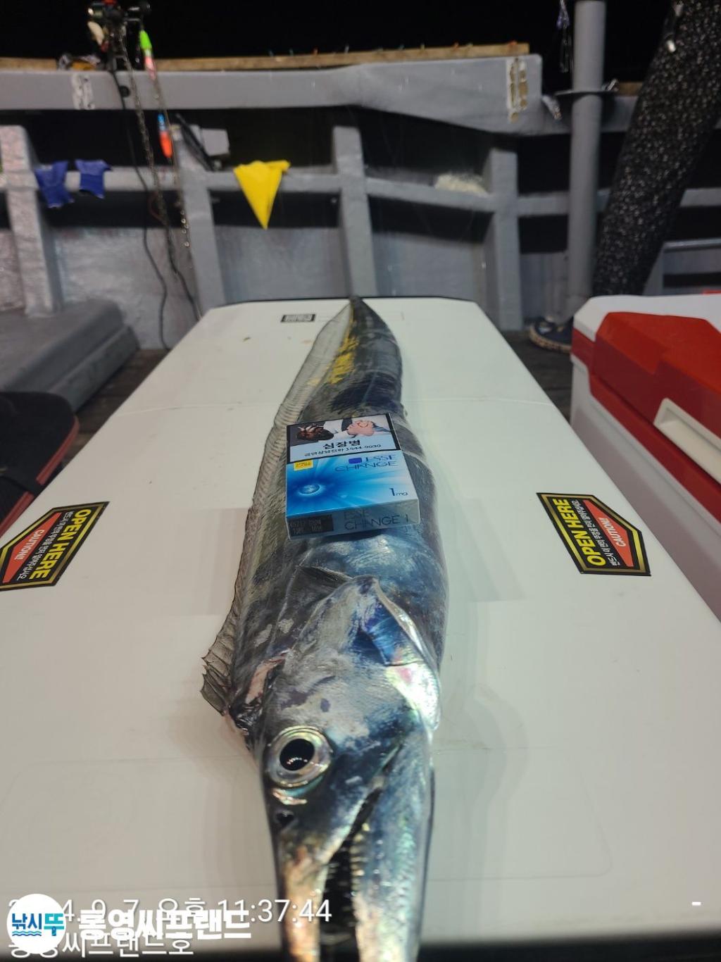 F2496441PQ.jpg