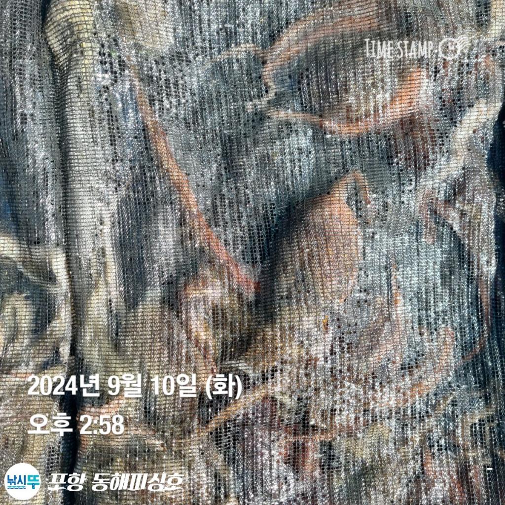 F24977182Y.jpg