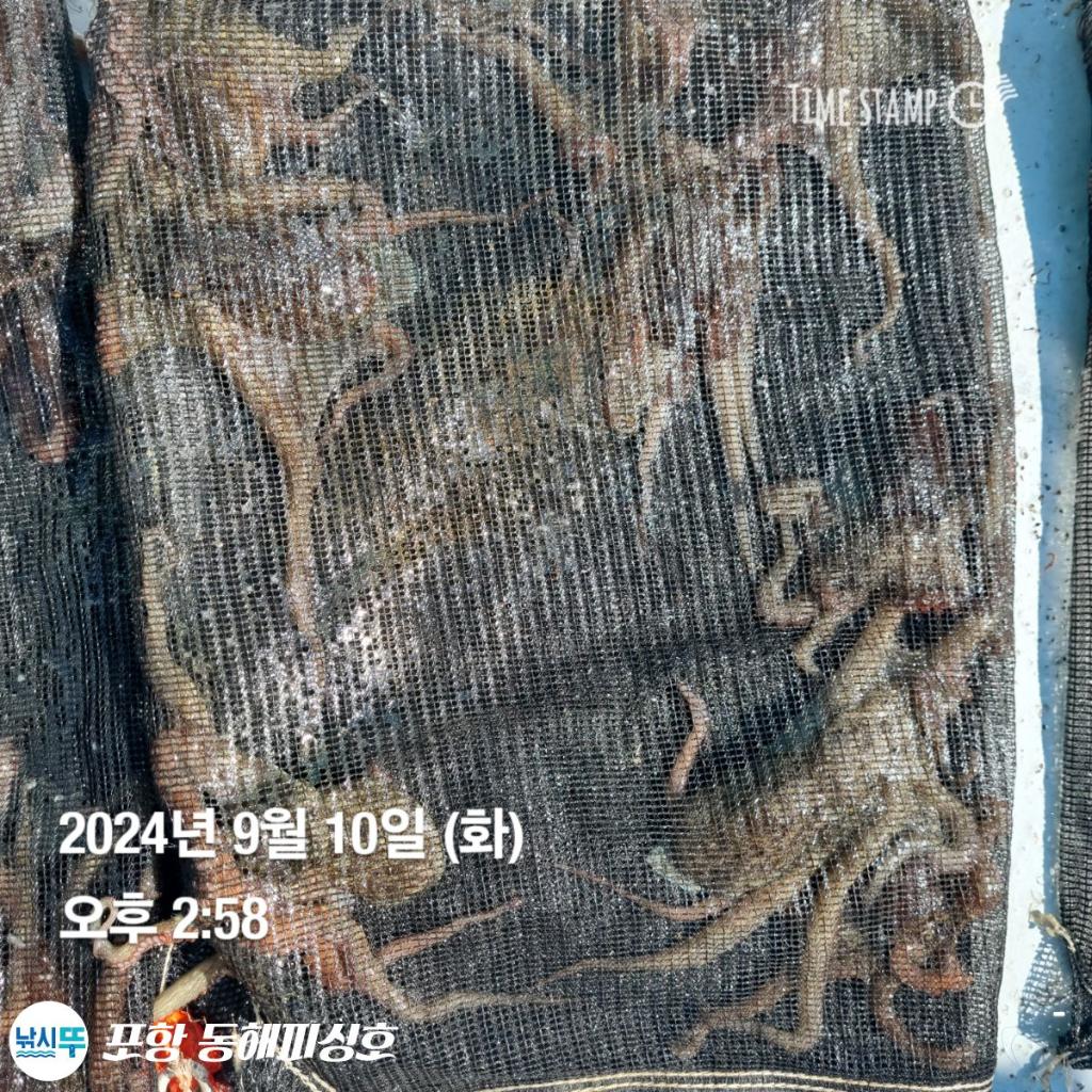 F2497719C6.jpg