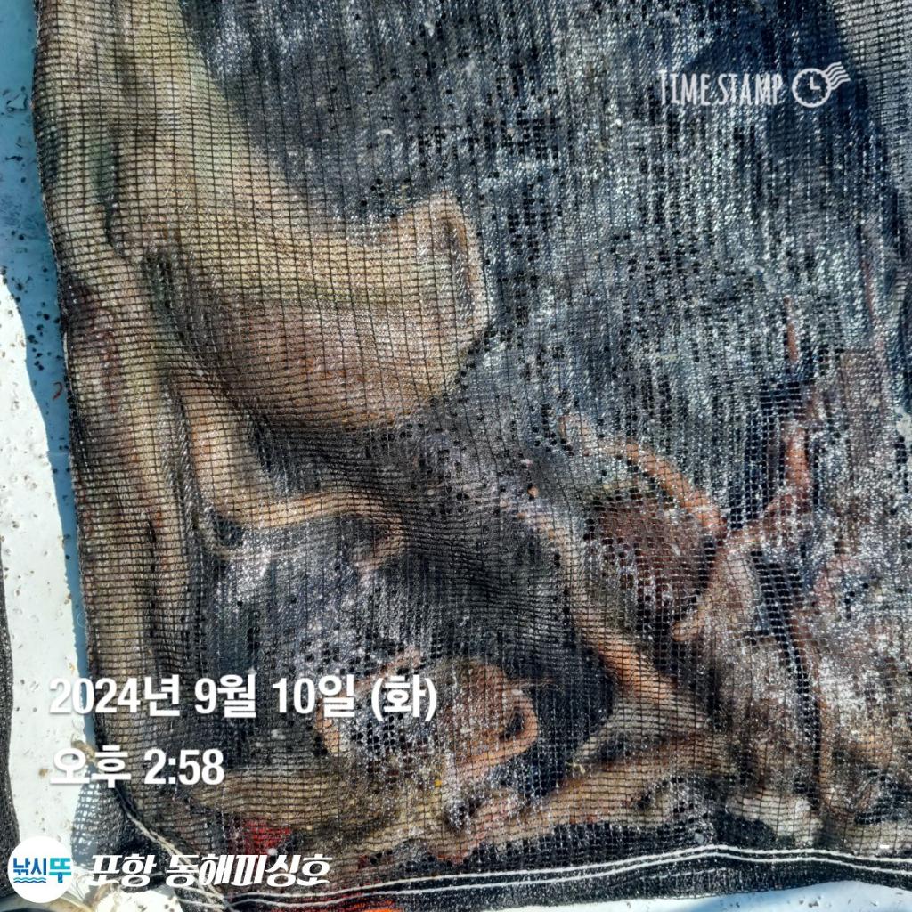 F249772099.jpg