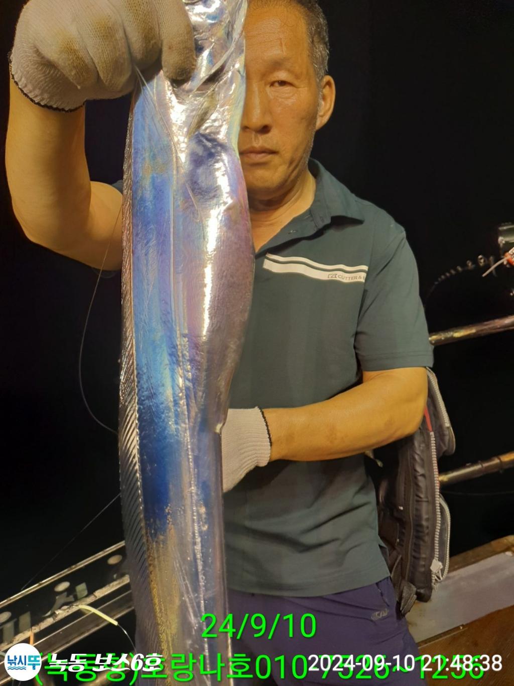 낚시뚜,갈치,녹동항,호랑나비호,낚시뚜0