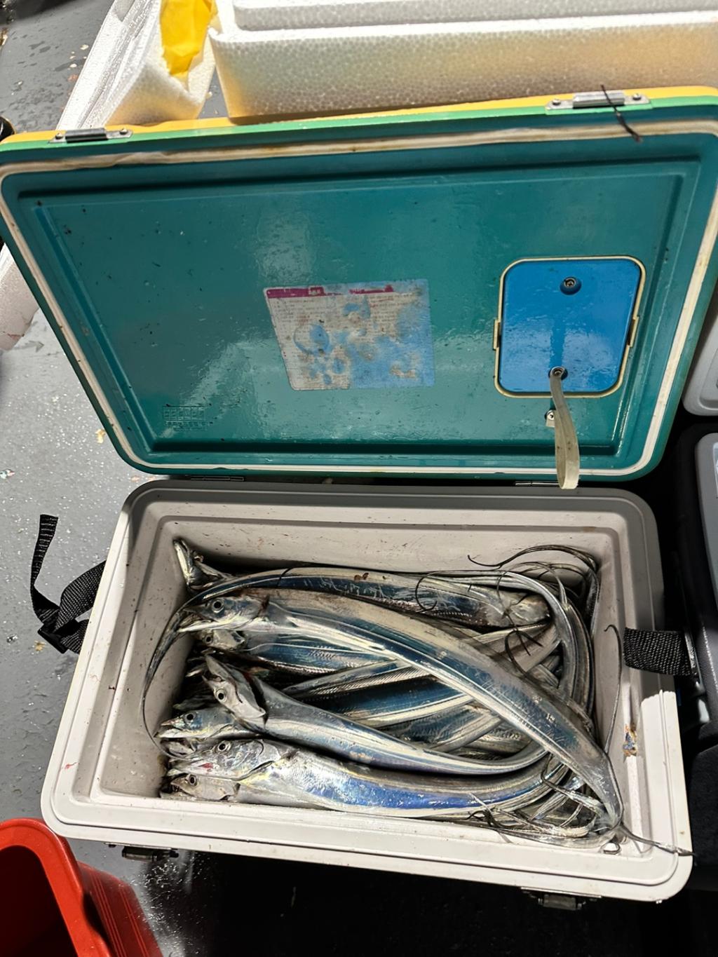 F2501198EK.jpg
