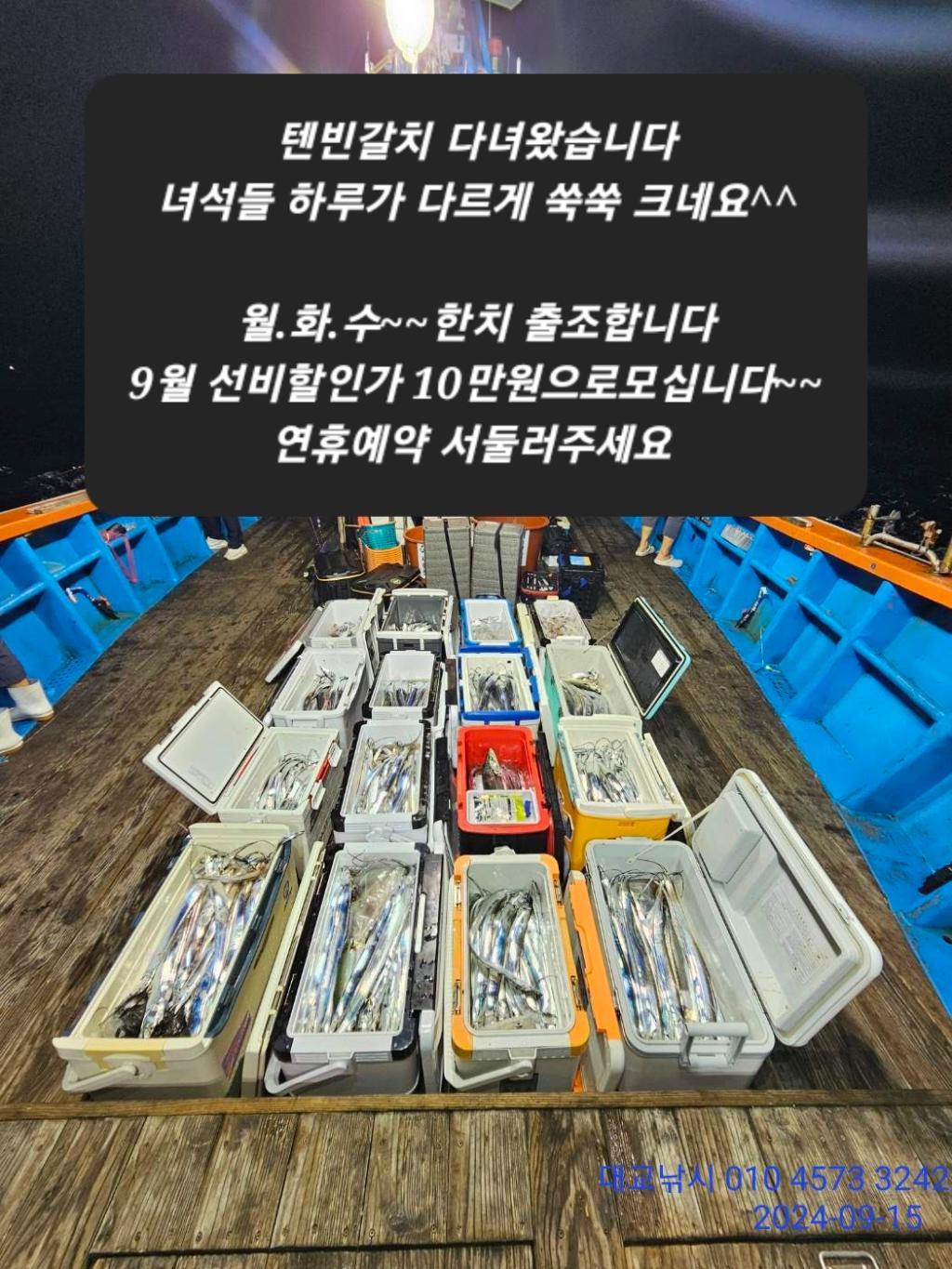 갈치, 삼포대교낚시, 낚시뚜