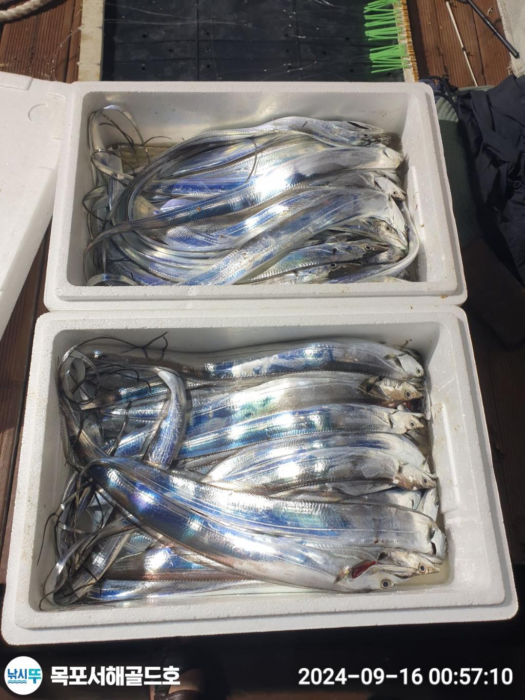 F2504139O3.jpg