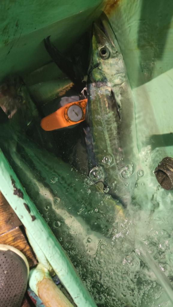 F2506070MC.jpg