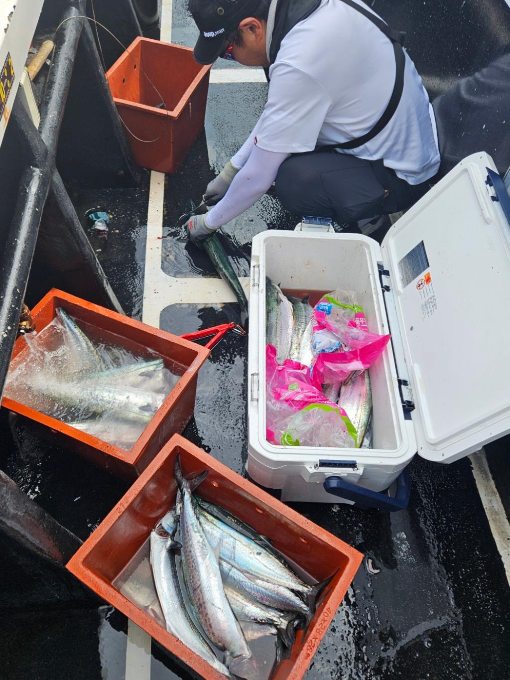 F2507503D7.jpg