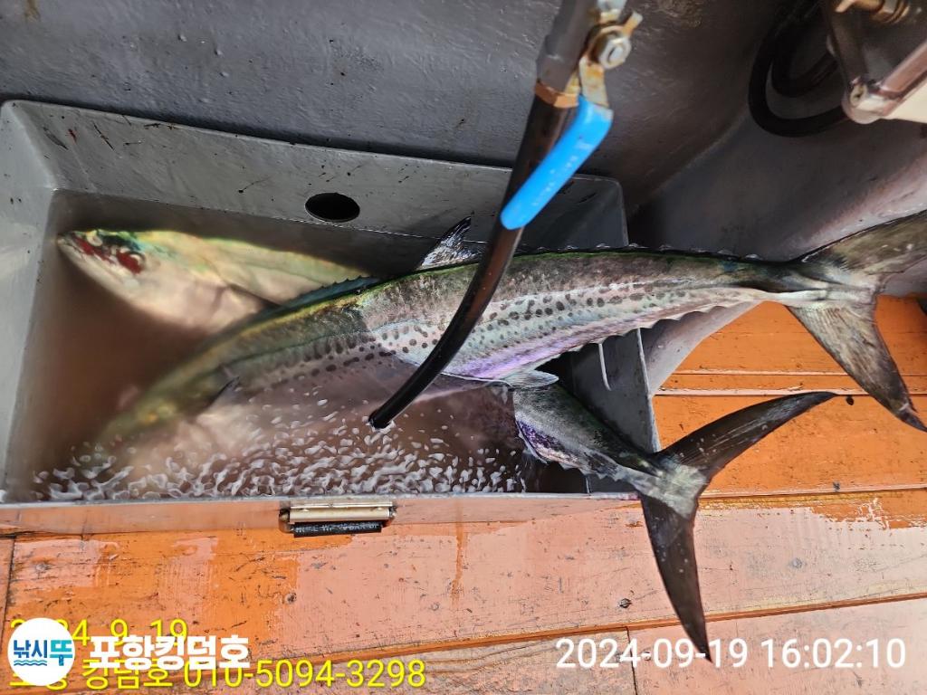 F2507635W9.jpg