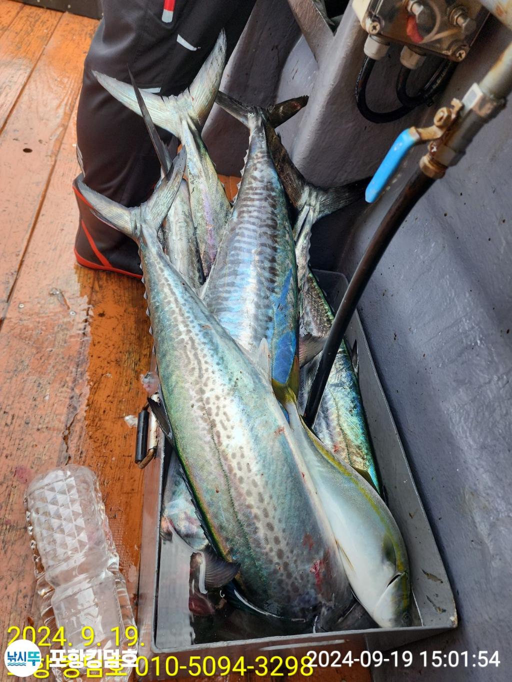 F2507671VY.jpg